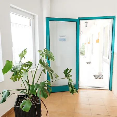 Baltyckie * Władysławowo